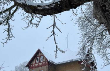 L' Extravagante im Garten von Schloss Schmidtheim - Foto 18