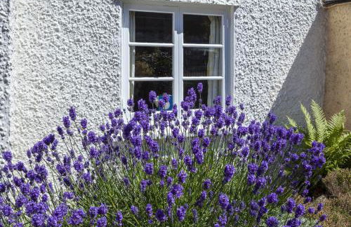 Syms Cottage Cutcombe - Foto 26