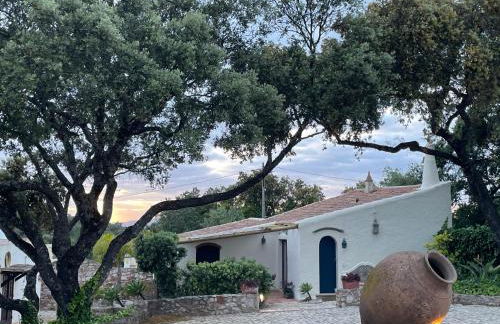 Monte Borboleta - Villas, Apartments - Foto 54