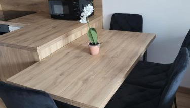 Apartament Karbowo - Foto 5