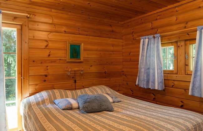 Hämeenhelmi - Foto 9