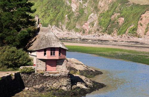 The Hen House - Foto 13