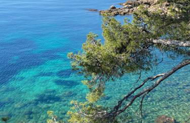 Au 526 sur mer - Foto 19