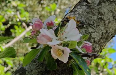 HOME L'UPUPA AMIATA - Foto 34