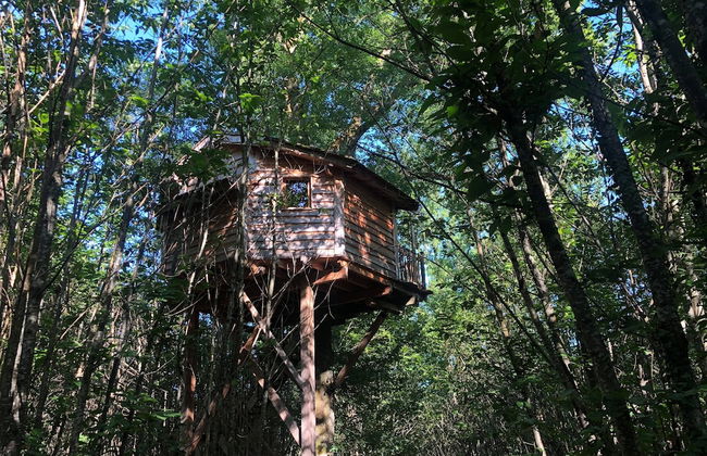 Ô bois dormant - Foto 11