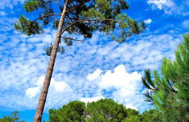 Domaine du Ferret Restaurant & Spa - Foto 31