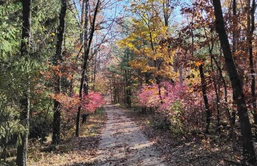 The River Cabin - Foto 21