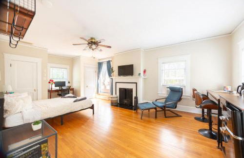 Sunny efficiency in historic home - Foto 34