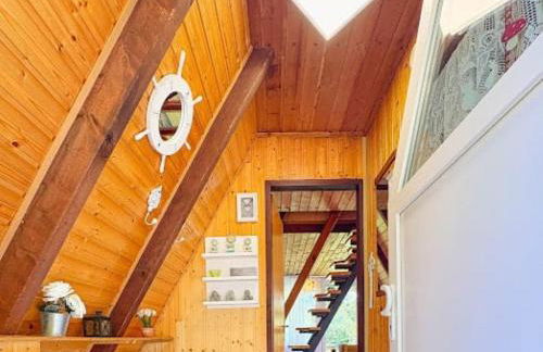 Ebony, kleines Nurdachhaus in direkter Waldrandlage - Foto 5