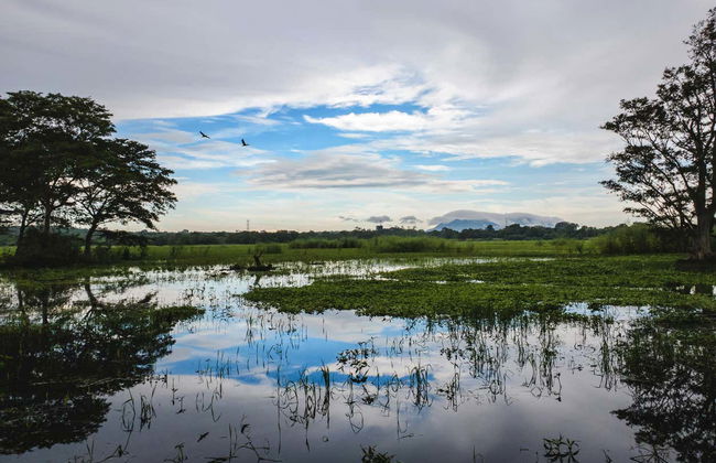 Excursión a Habarana - Foto 1