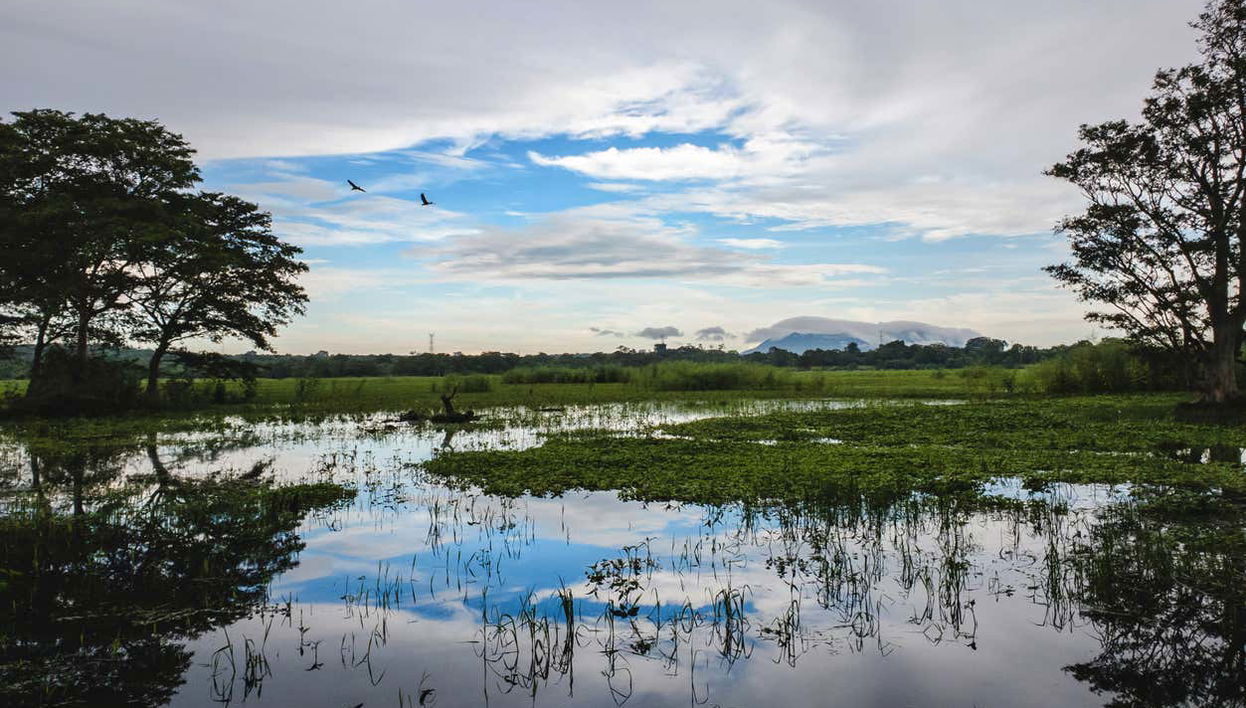 Escursione ad Habarana - Foto 1