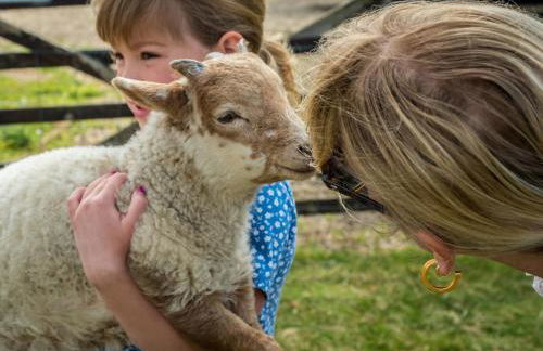 Crabtree Farm - South Stable - Foto 27