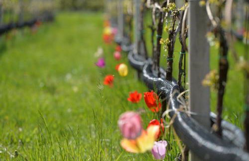 Haus Wiesenstein - Foto 58