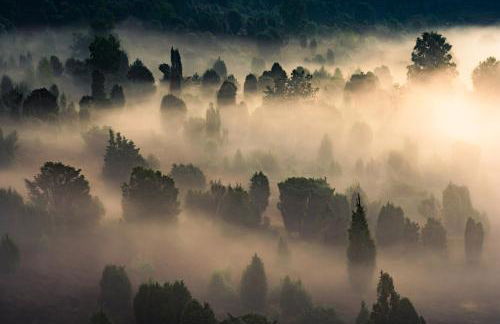 Heidehof Oberhaverbeck - Foto 45