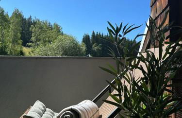 Große Schwarzwald-FeWo mit Naturblick in Neukirch - Foto 13