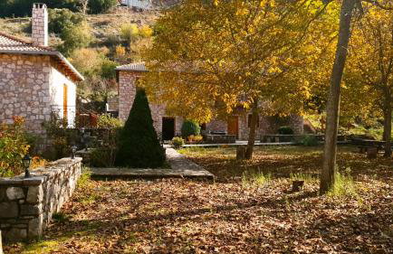 Andrea Sofi Guesthouse - Photo 20