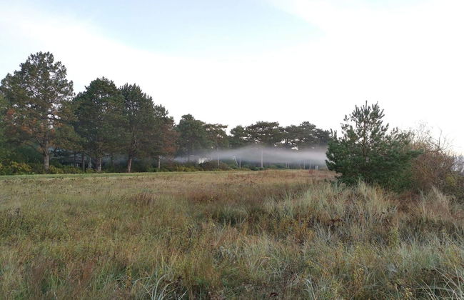 Holiday Home in Idestrup - Foto 7