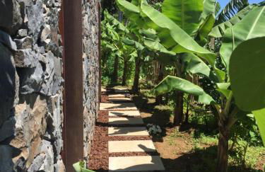 Mango House - Foto 49