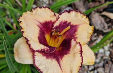 Apartamenty Szepty Mazur - Foto 51