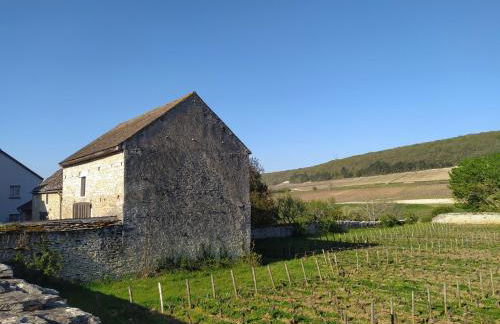 Le Clos du Château - Foto 21