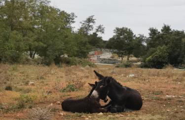 Vecchia Mottola Albergo Diffuso - Foto 54