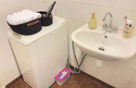 Bartholomé LE MAGNIFIQUE - Foto 23