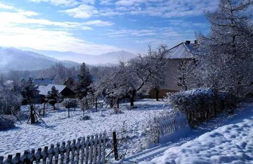 Domek Tuni - Foto 18