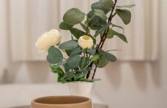 Villa Basilio - Foto 34