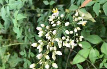 Loft 2 Conforto ao lado do Centro Histórico - Foto 33
