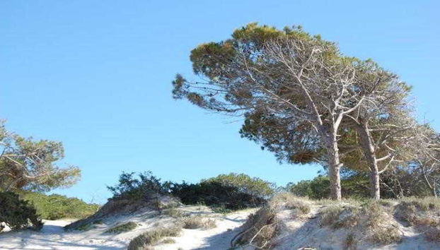 Gardenia Casa Vacanze - Foto 2