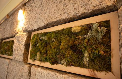 Starbase18 lda Ecotourism - Foto 10