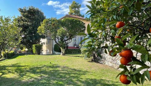 Casa Alice - Tranquilla Casa con Giardino - Foto 1, Garden