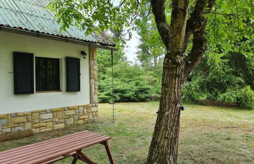 Domek w Lesie Bory Tucholskie - Foto 25