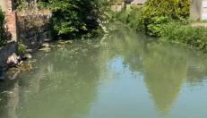 Studio St Florentin - Foto 5