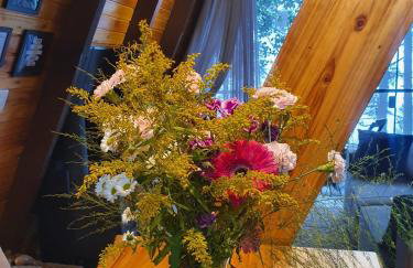 Cabanas da Mata Com Vista para as Montanhas na Serra Gaúcha - Foto 31