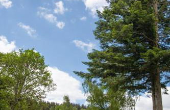La maison de maitre - domaine de coulagnettes - Foto 44