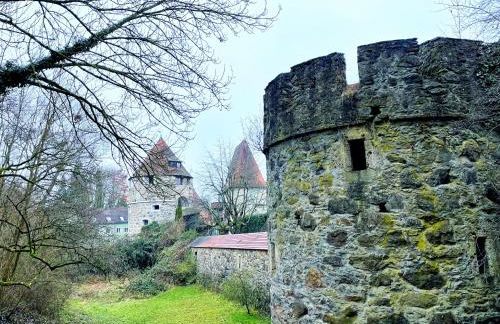 'GoldPath' PassauCity I Central I OldTown I Balkon I Italien garden I stylish I WipuTV - Foto 38