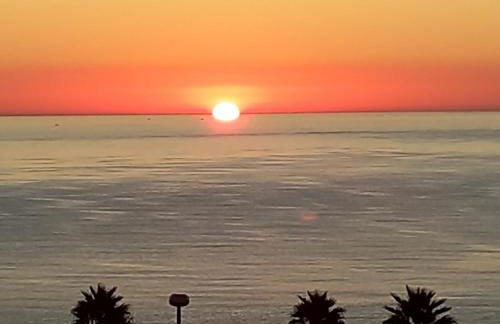 Una Vista Divina - Mil Palmeras - Foto 19