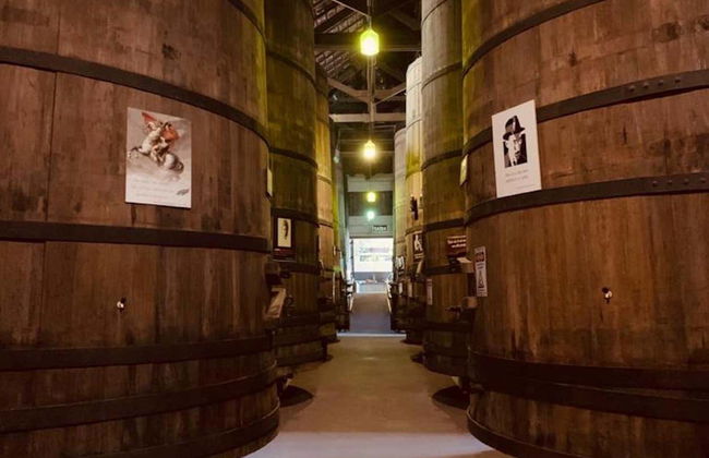 Tour delle cantine di Bento Gonçalves e Garibaldi - Foto 5