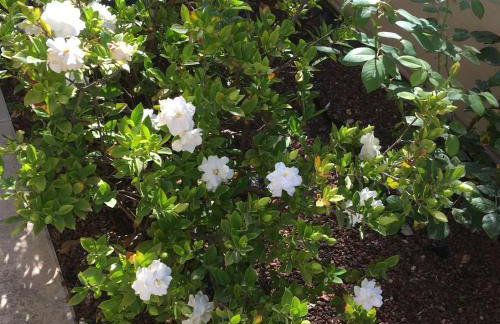 Villa Markos - Foto 40