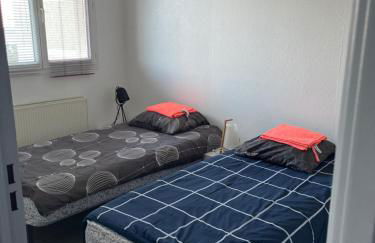 Square Walliser près ZENITH - Foto 6