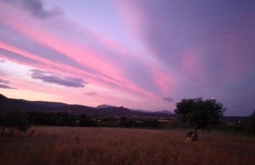 Pinnettu sardo tipica abitazione sarda in ecosistema insetti e animaletti simpatici in condivisione bagno esterno a 10metri Leggere attentamente Prima di prenotare - Foto 56
