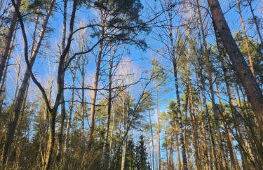 Domki Mazury z sauną i jacuzzi! - Foto 46