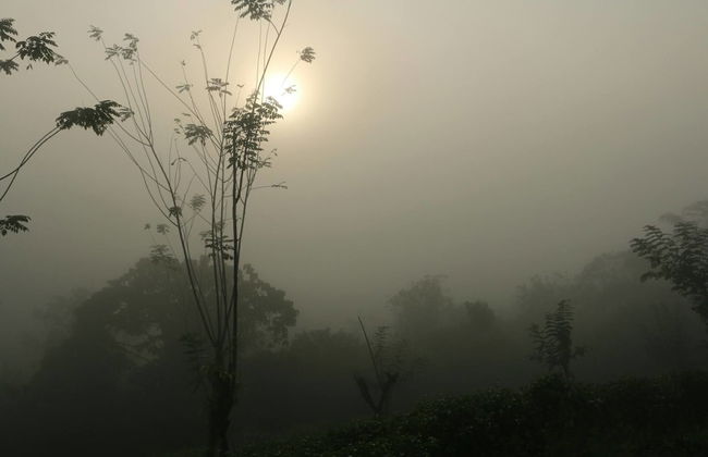 Monsoon Adventure Park - Foto 18