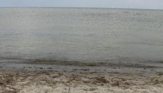 Haus Marinus - Foto 3