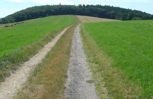 Das Alte Forsthaus - Foto 23