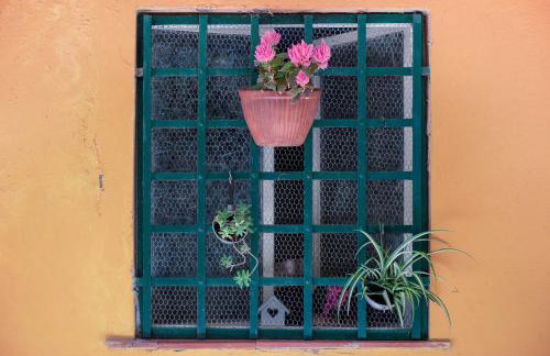 Un'oasi al Mare - Photo 12
