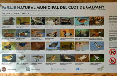 LA CASITA DEL CLOT - Foto 60