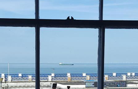 Cultural heart of Margate - Foto 9