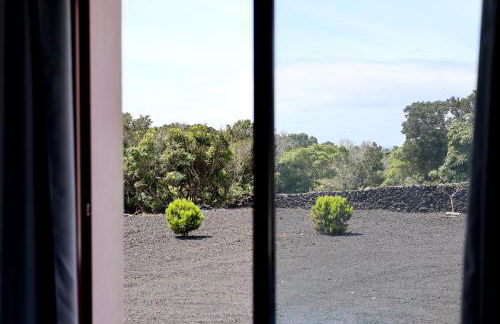 Vista Montanha - Foto 49